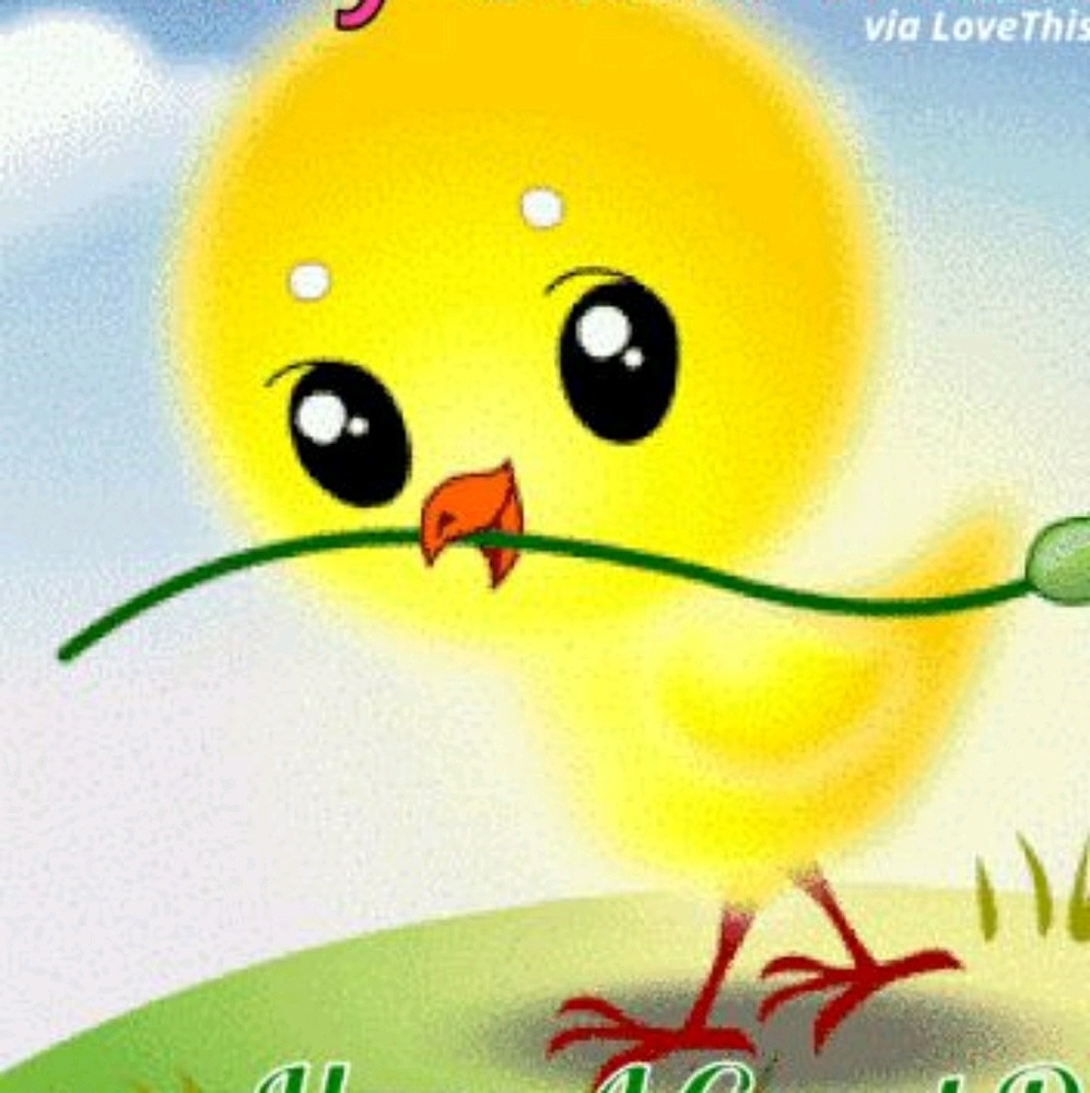 Meet your Posher, Claudia